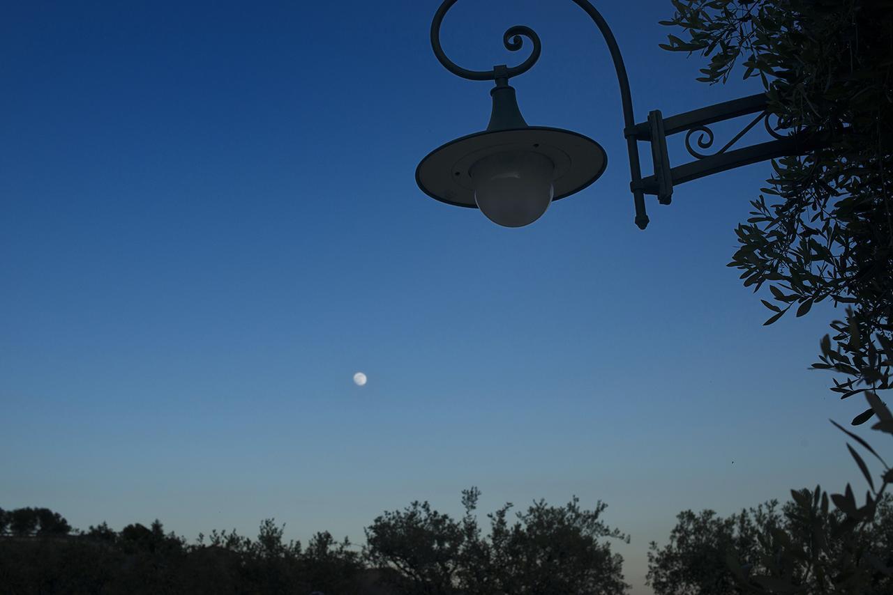 Villa La Pianella Massarosa Kültér fotó